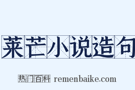 莱芒小说造句是什么意思的图片